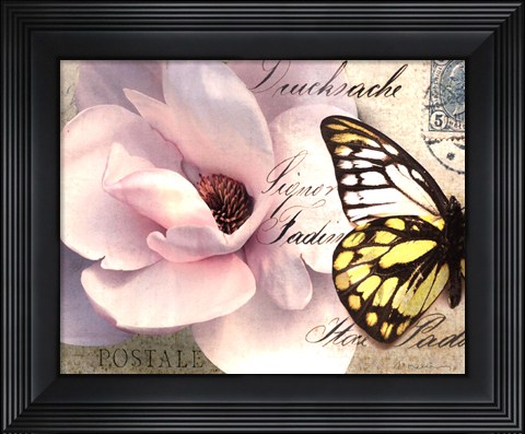 Framed Carte Postale Magnolia II Print