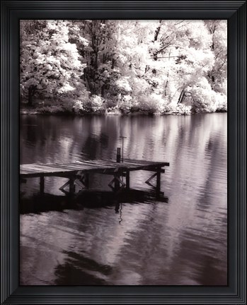 Framed Mint Springs Lake BW V Print