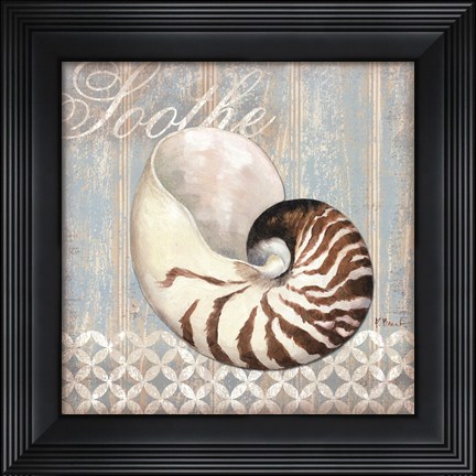 Framed Spa Shells III - mini Print