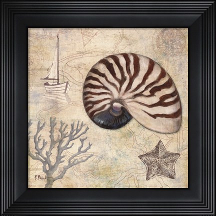 Framed Discovery Shell I Print