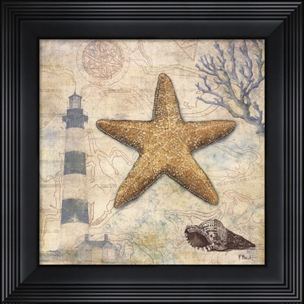 Framed Discovery Shell III Print