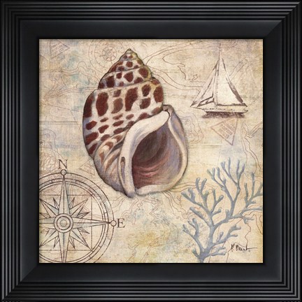 Framed Discovery Shell IV Print
