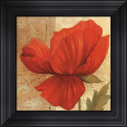 Framed Papaver I - mini Print