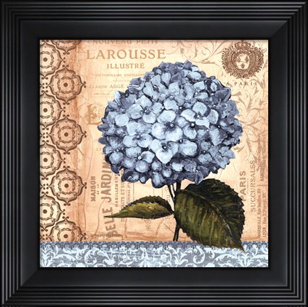 Framed Hydrangea - mini Print