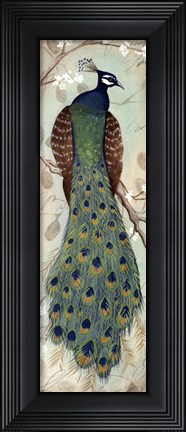 Framed Peacock I - mini Print