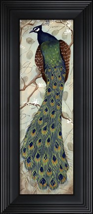Framed Peacock II - mini Print