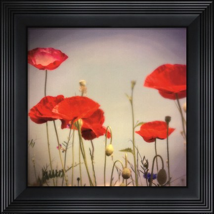 Framed Bloom I Print