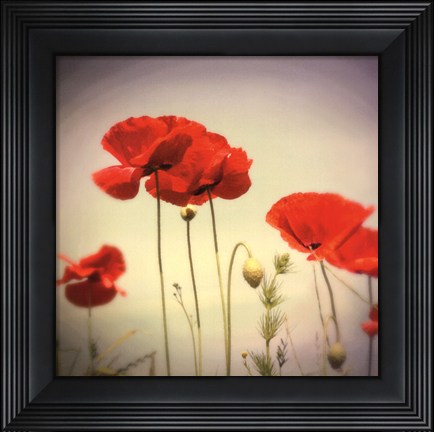 Framed Bloom II Print