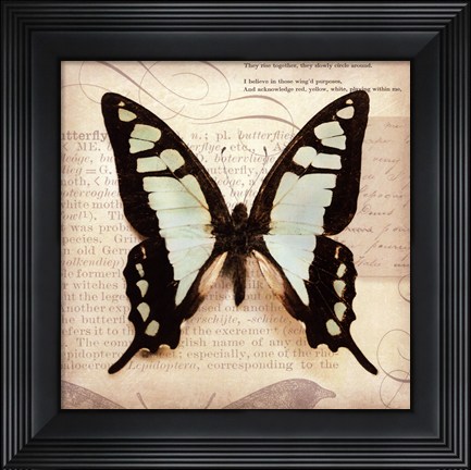 Framed Butterflies Script I - mini Print