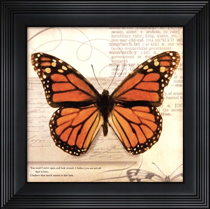 Framed Butterflies Script II - mini Print