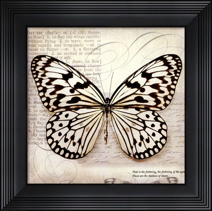 Framed Butterflies Script III - mini Print