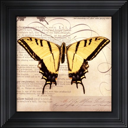 Framed Butterflies Script V - mini Print