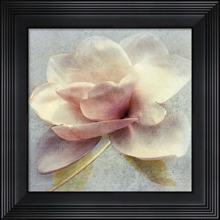 Framed Pond Lily Sq. Print