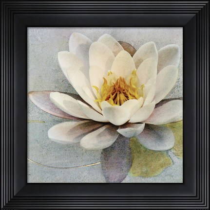 Framed Magnolia Sq. Print