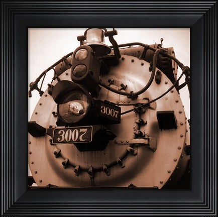 Framed Train VI Print