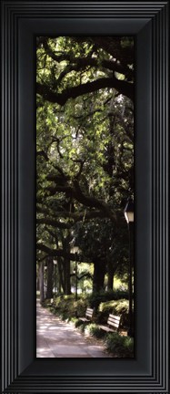 Framed Savannah Sidewalk Panel I - mini Print