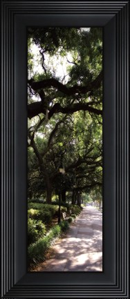 Framed Savannah Sidewalk Panel II - mini Print