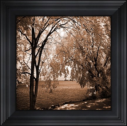 Framed Hopewell Shores Sepia Sq I Print