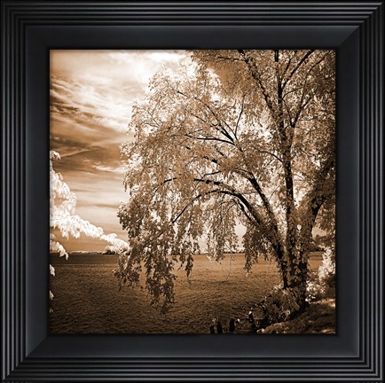 Framed Hopewell Shores Sepia Sq II Print