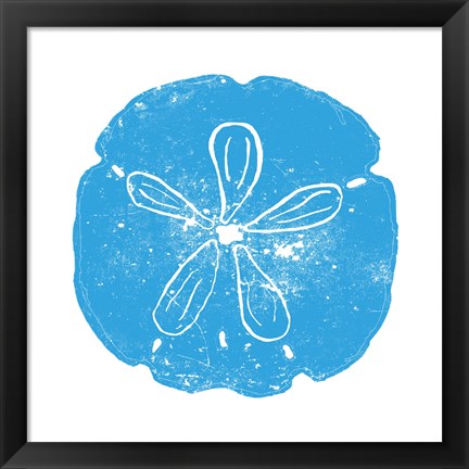 Framed Blue Sand Dollar Print