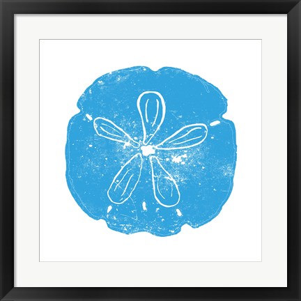 Framed Blue Sand Dollar Print