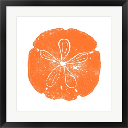 Framed Orange Sand Dollar Print