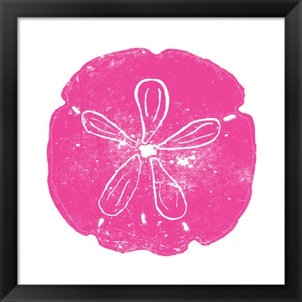 Framed Pink Sand Dollar Print