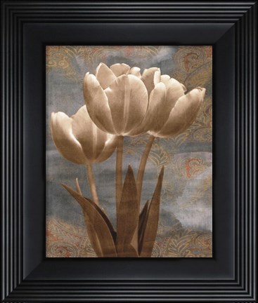 Framed Tulip I Print