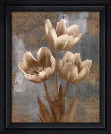 Framed Tulip II Print