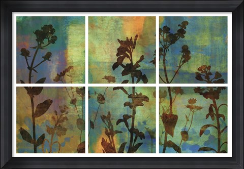 Framed Wild Flowers II Print