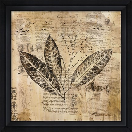 Framed Botanical Sketchbook I Print