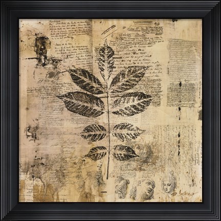 Framed Botanical Sketchbook II Print