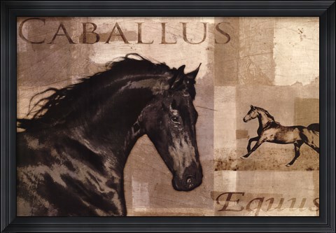 Framed Caballus I Print
