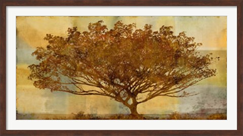 Framed Autumn Radiance Sepia Print