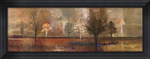 Framed Tree Shadows I Print