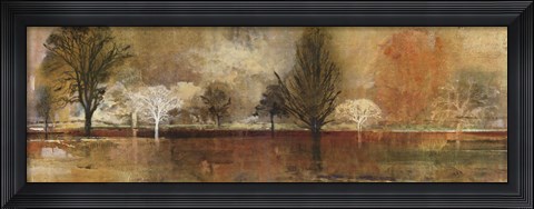 Framed Tree Shadows II Print