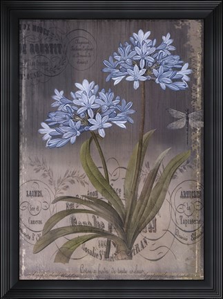 Framed Black Botanical II Print