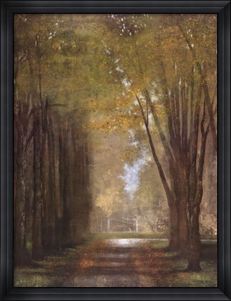 Framed Mist Print