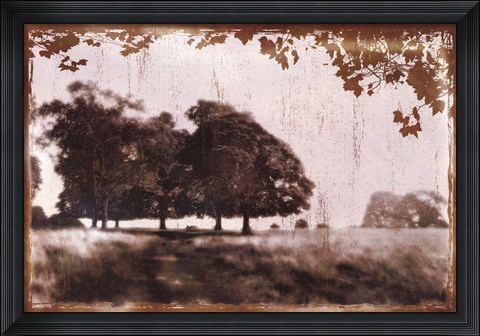 Framed Tree Meadow II Print