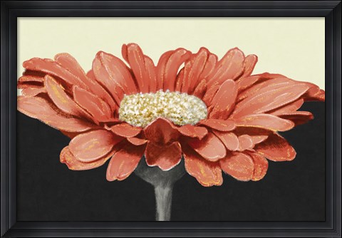 Framed Apricot Flame I Print