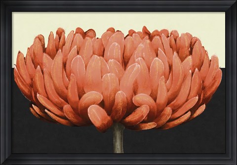 Framed Apricot Flame II Print