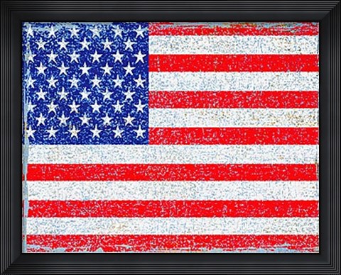Framed Stars and Stripes Print