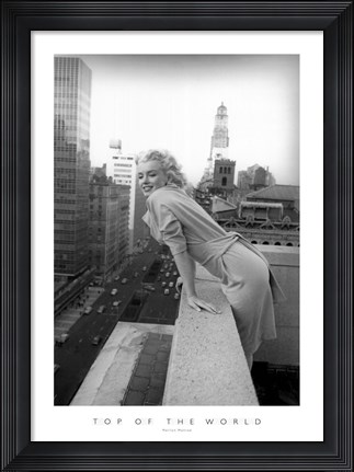 Framed Top Of The World Print