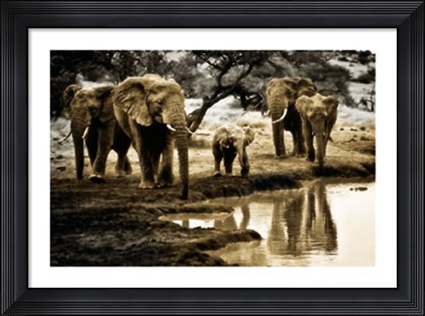 Framed Cool of the Evening Print