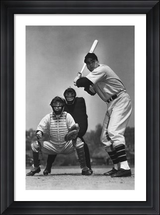 Framed On The Field IV Print