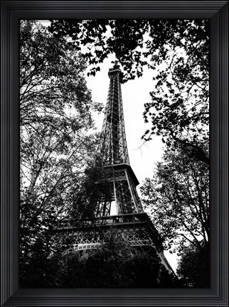 Framed Paris Trees Print