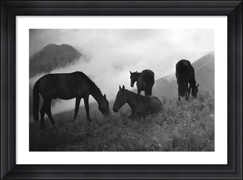 Framed Morning Mist Print
