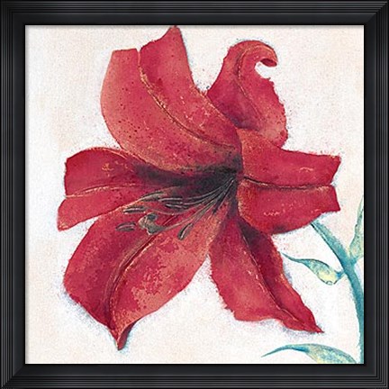 Framed Lily II Print
