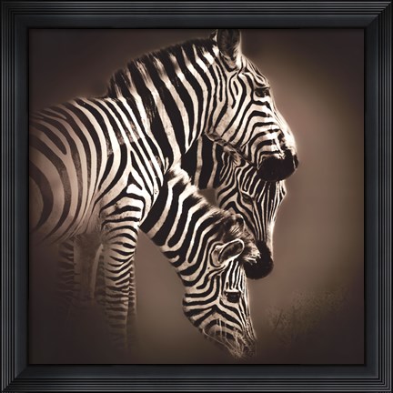 Framed Mirage Print