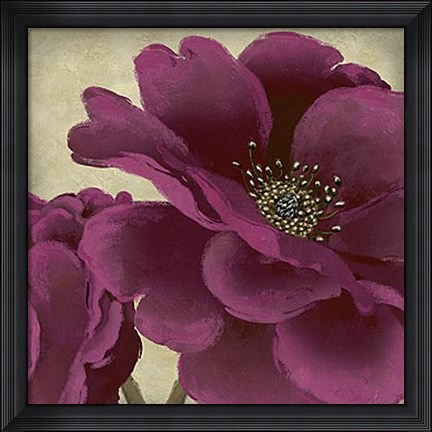 Framed Peony Dusk I Print